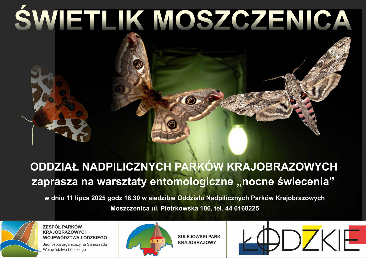 1. swietlik 2025