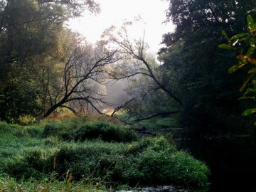 Rzeka Rawka - rezerwat przyrody