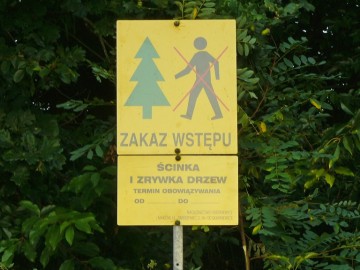 Parkowanie i poruszanie się na terenach leśnych_1, A. Pruszkowska