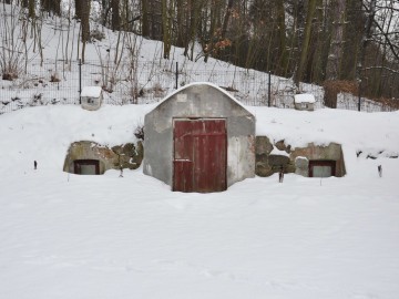 Piwnice - miejsca zimowania nietoperzy , Krzysztof Pira