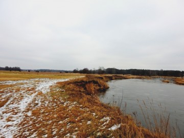 Monitoring Zimujących Ptaków Wodnych na Pilicy - 2022, <p>Pilica pod Brzegiem</p>