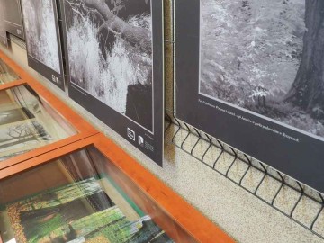 Wystawa Drzewa Zespołu Parków Krajobrazowych Województwa Łódzkiego, 