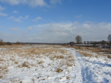Zimowe liczenia ptaków wodnych - 2018, <p>Dolina Pilicy. Fot. Szymon Kielan</p>