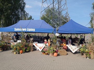 Dożynki gminy Nowosolna 2024, 