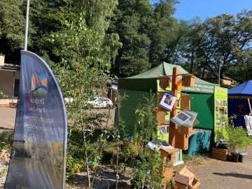 Relacja z charytatywnego wydarzenia Apetyt na Oddech „Łupkowa Run 2024”, 