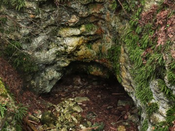II liczenie nietoperzy w ZPK, <p>jaskinia Samsonowicza</p>