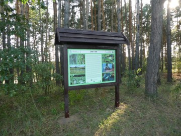 Tablica przy pomniku przyrody Żabi Staw, <p>K. Kierniakiewicz</p>