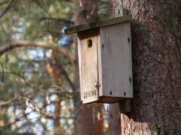 Przegląd i czyszczenie budek dla ptaków w Sieradzkich Parkach Krajobrazowych, 