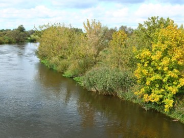 Rajd Rowerem nad Wartą - jesień 2024, <p>M. Ignaczak</p>