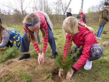 Sadzenie drzew w Konopnicy w ramach akcji 