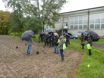 Szkolenie sadownicze w Sędziejowicach, <p>K. Kierniakiewicz</p>